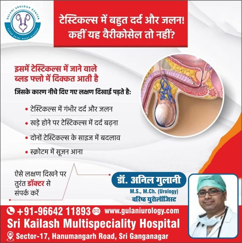 whatsapp image 2026 02 11 at 16.21.04 (1)