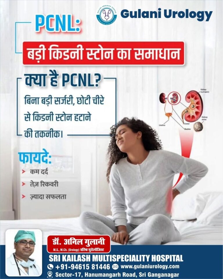 whatsapp image 2026 02 11 at 16.21.12 (1)